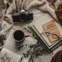 NV tổng hợp