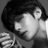 Kim Taehyung ( anh )