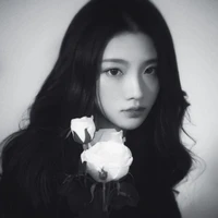 Bao_rose