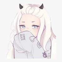 Y/N