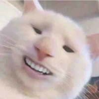 Tác giả xynk xắn
