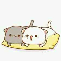 Shiro Tina