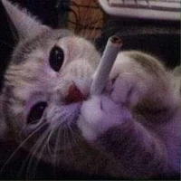 Tác giả thích chìu đọc giả