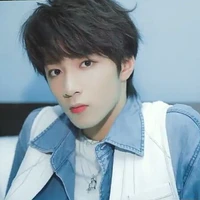 Lưu Diệu Văn