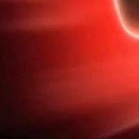 t/g bất cần đời