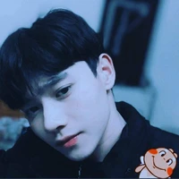 Hồ Vũ Quang