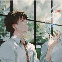 Harry James Potter