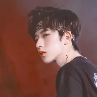 Hạ Tuấn Lâm