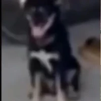 t/g muốn 10đ toán nè :3