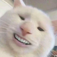 con tác giả thỉu năng