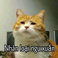 Cảnh sát vũ khí ẩn thân chi thuật