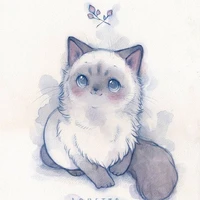 Chu Miêu