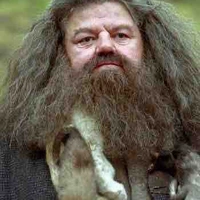 Rebeus Hagrid