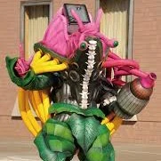 Namero Bacho