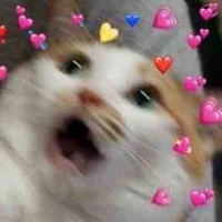 Con tác giả thỉu lăng