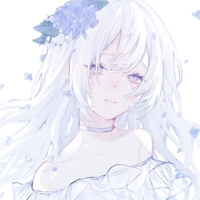 L/n Y/n