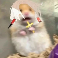 Cô gái