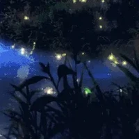 << Hệ thống >>