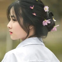 Địch Ảo Mộng - quản lý