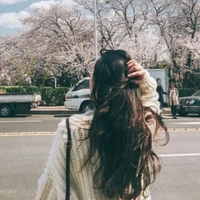 Nguyễn Y/N