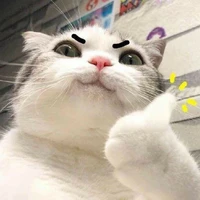 Họa Đàoo