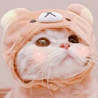 Mimi🐱