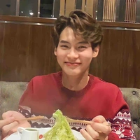 Win Metawin