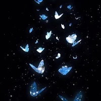 nhóm chara của nasaki