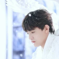 Trương Trạch Vũ