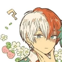 Todoroki Shoto
