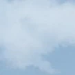 Các cậu