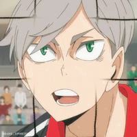 Lev