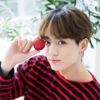 Jeon Jungkook -omega