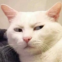 lương tâm của con bạn tg