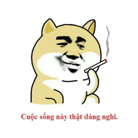 con bạn của nhỏ tg