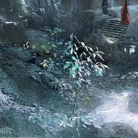 Đất