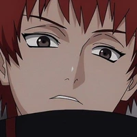 SaSoRi
