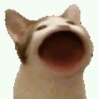 tác giả nè