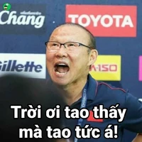 Tất cả mọi người đang coi đá banh VN
