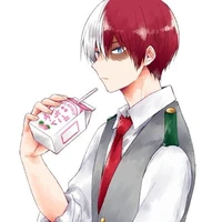 todoroki shoto