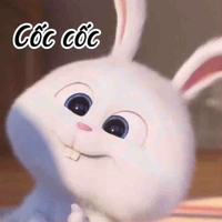 con tác giả