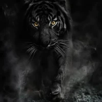 Jak(thú cưng của cô)