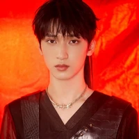 Nghiêm Hạo Tường