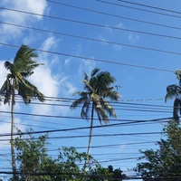 Đội 1