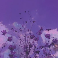 Hội Đồng Ma Thuật