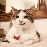 Tác giả quyền lực 