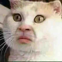 con tg thiểu năng