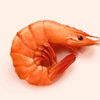 hồn mấy con tôn xấu số