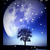 tác giả ( ý cute)