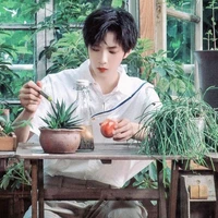 Lưu Diệu Văn